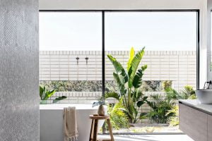 Paragon fixed windows in Monument Matt