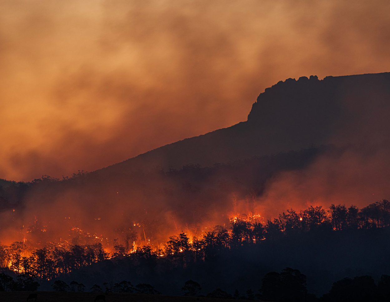 bushfire scene