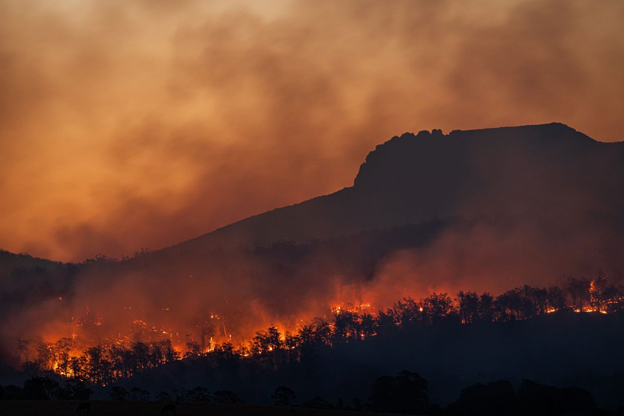 bushfire scene