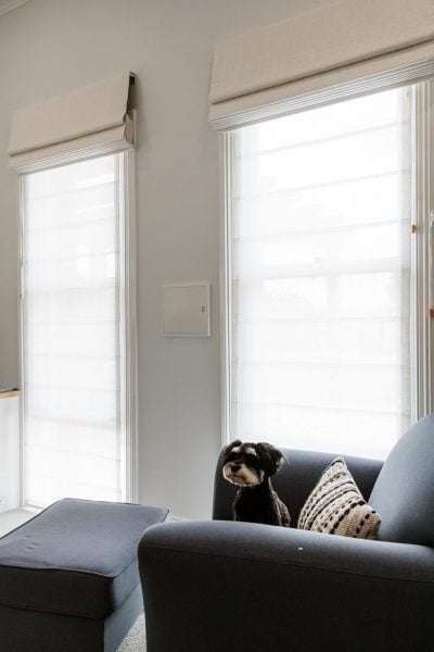 Dudley reno: Natura timber double hung windows and Daisy the dog